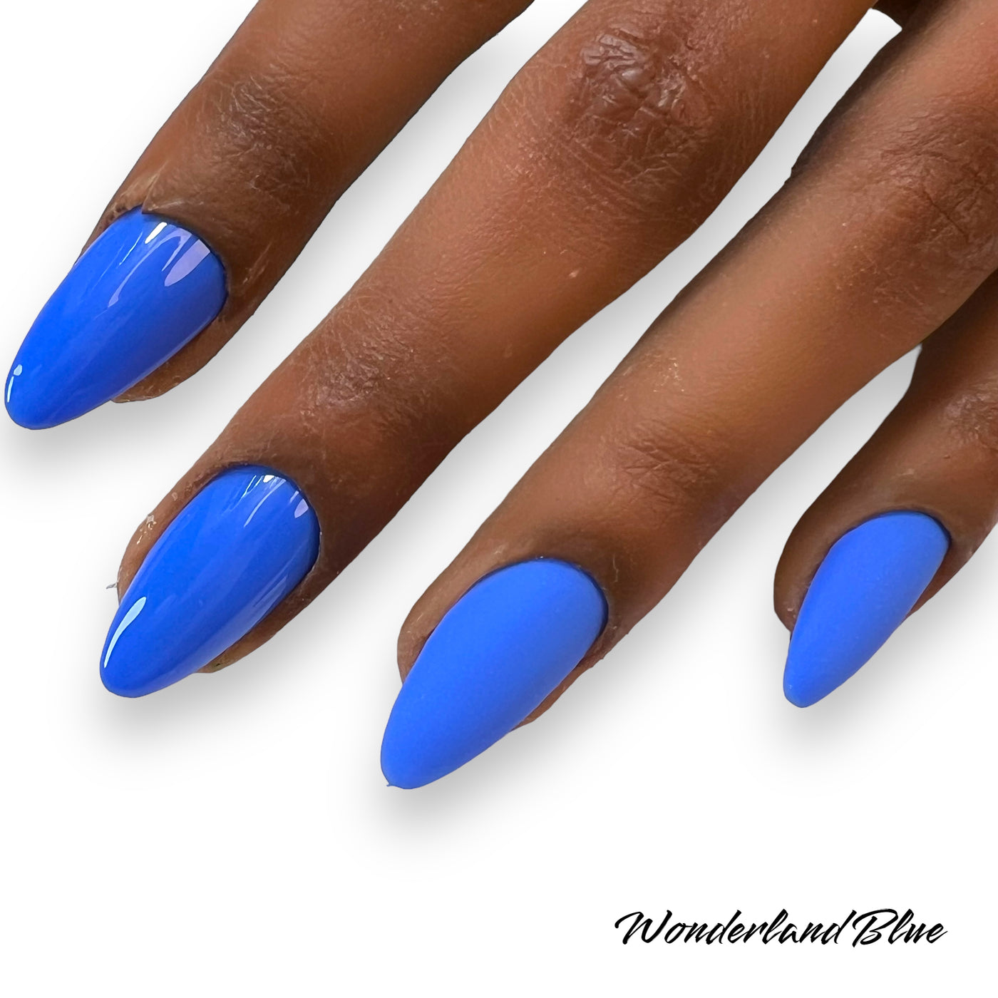 Wonderland Blue